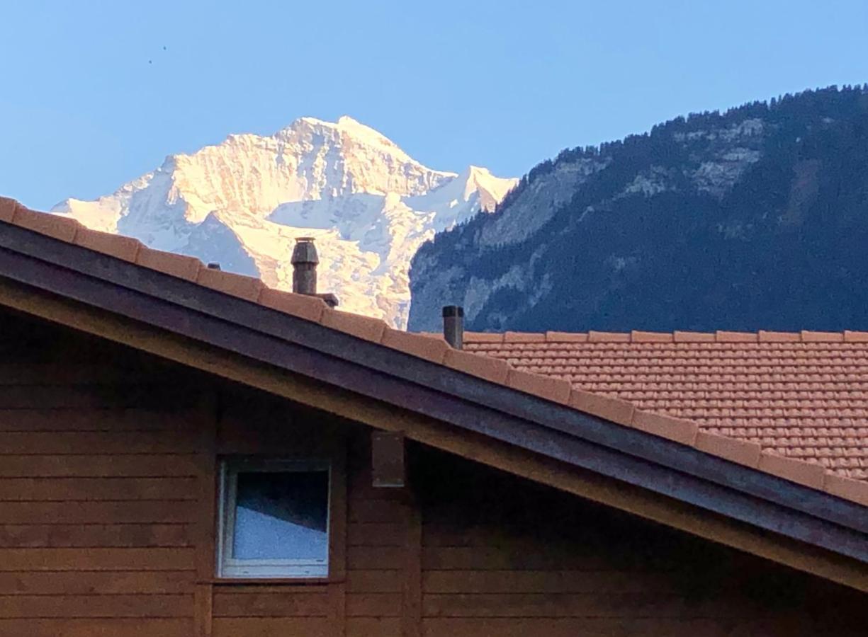 S&P Mountain View Apartment 1 Wilderswil Buitenkant foto
