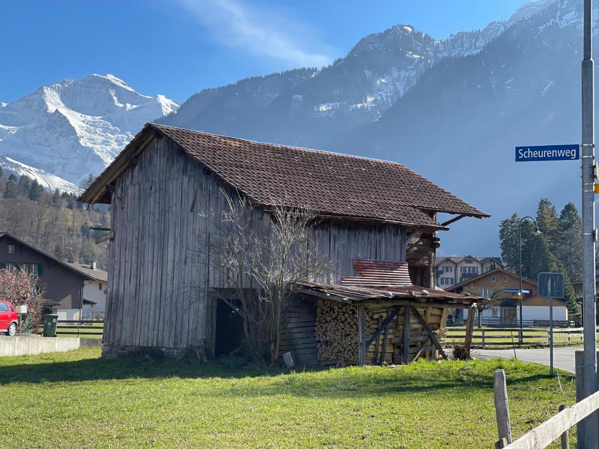 S&P Mountain View Apartment 1 Wilderswil Buitenkant foto